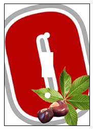 Ohio State Light Switch Cover