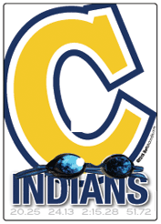 Copley Swimming Light Switch Cover